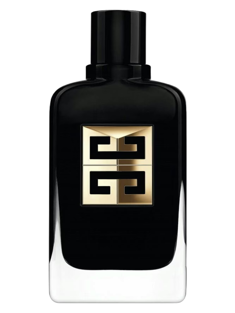 Gentleman Society Ambrée