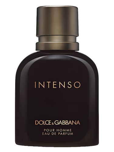 Intenso EDP