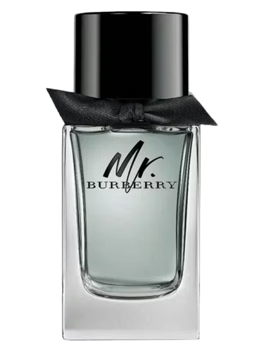 Mr. Burberry EDT