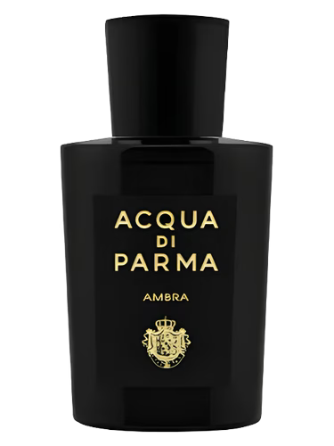 Ambra EDP